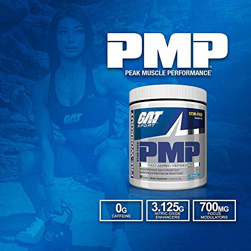 GAT PMP (Peak Muscle Performance), Next Generation Pre Workout Powder for Intense GAT SPORT buy supplements canada