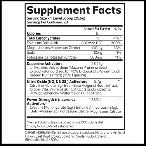 Advanced Molecular Labs - Pre Workout Powder, Increases Drive, Performance Enhancer AML ADVANCED MOLECULAR LABS buy supplements canada
