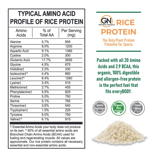 Growing Naturals | Vanilla Rice Powder 15g Plant Protein | 2.8G BCAA, Low-Carb Growing Naturals buy supplements canada