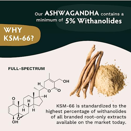 TRIBE ORGANICS Vegan Ashwagandha KSM 66 Pure Organic Root Powder Extract Ayurvedi TRIBE ORGANICS buy supplements canada