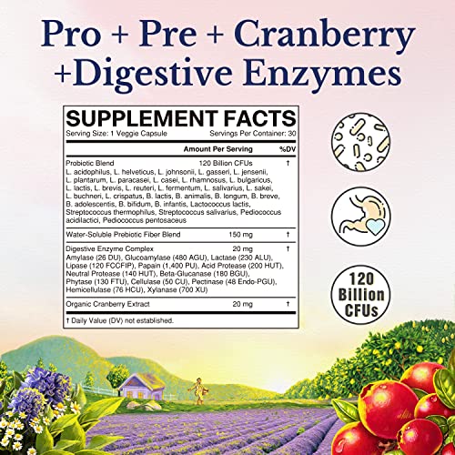 VITALITOWN Women's Probiotics 120 Billion CFUs 1 Daily, 30 Strains, with Prebiotics VITALITOWN buy supplements canada
