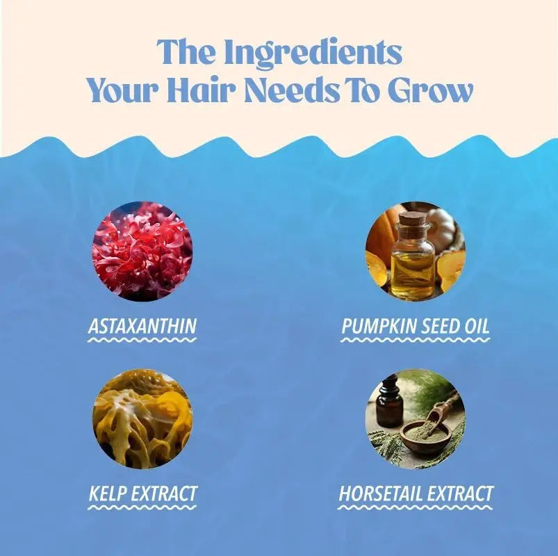 Akasha Superfoods Grow Hair & Beauty Gummies, Supplement with Zinc, Vitamin E, Astaxanthin, Kelp, & Pumpkin Seed, Plant Based Gummies for Women & Men Akasha Superfoods buy supplements canada