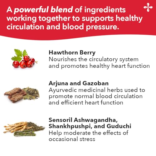 LifeSeasons B/P Stabili-T - Blood Pressure Support - Vitamin Supplement for Healthy Heart & Circulation - Ashwagandha, Arjuna & Hawthorn Berry - 240 Capsules LifeSeasons buy supplements canada
