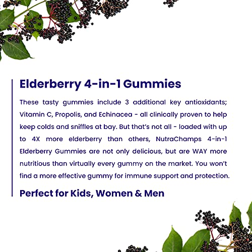 NutraChamps Elderberry Gummies with Vitamin C, Propolis & Echinacea NutraChamps buy supplements canada