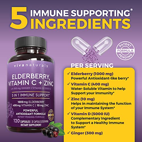 Viva Naturals Sambucus Elderberry with Vitamin C and Zinc for Adults - 5 in 1 Sambucus Viva Naturals buy supplements canada