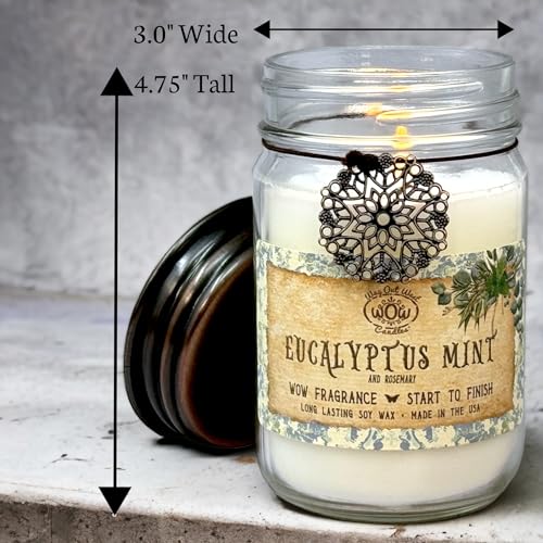 Scented Candle for Home by Way Out West Candles - Long Lasting Home Fragrance or Essential Oils Way Out West Candles buy supplements canada