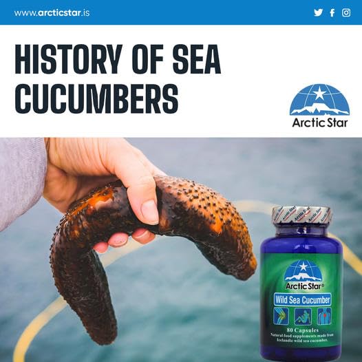 Arctic Star - Sea Cucumber Capsules - Natural Pure Iceland Atlantic Wild Caught Sea Cucumber Extract Supplement Pills - Joint Health t & Immune Health 400mg 80 Capsules/Bottle Arctic Star buy supplements canada