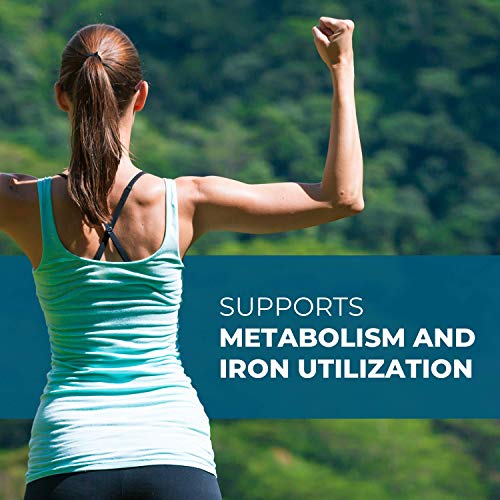 Seeking Health Molybdenum 500, Molybdenum Glycinate Chelate Supplement Seeking Health buy supplements canada