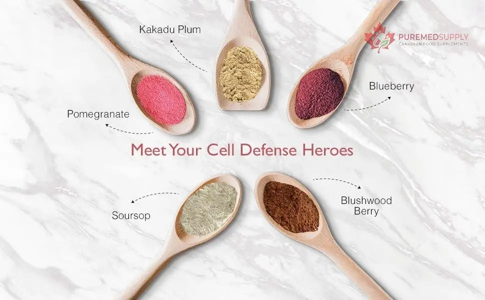 Aussie Pure Blushwood Berry Superfruit Daily Cell Defense - Soursop - Kakadu Plum - Pomegranate - Blueberry - Immune and Cell Support Powder - All Ages - Lab Tested and Authenticated - 180g/6.4oz Aussie Pure buy supplements canada