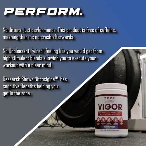 Leviathan Wellness Vigor - Stimulant Free, Nitric Oxide Boosting Pre-Workout Powder Leviathan Wellness buy supplements canada