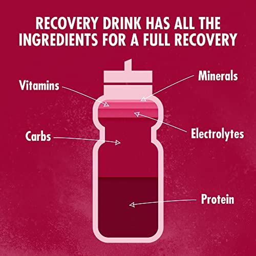 HIGH5 Recovery Drink | Whey Protein Isolate | Promotes Recovery | (Berry, 450g) HIGH5 buy supplements canada