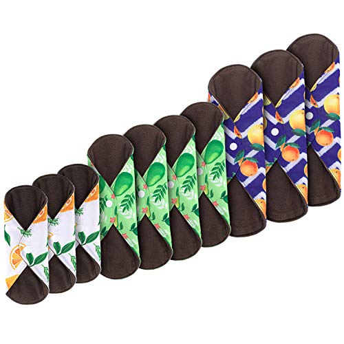 Teamoy 10pcs Cloth Panty Liners, Reusable Sanitary Pads with Wet Bag, Washable Cloth Menstrual Pads Teamoy buy supplements canada