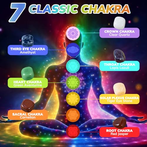 WVIOUOPU Healing Crystals and Chakra Stones Set - 13 Pcs Real Raw Healing Chakra Stones WVIOUOPU buy supplements canada