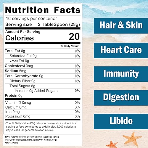 Healistix Pineapple Irish Sea Moss Gel 16 Oz - St Lucia Wildcrafted Seamoss Gel, Packed HX HEALISTIX buy supplements canada