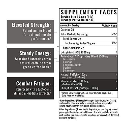 Wilderness Athlete - Brute Force Pre-Workout | Best Pre Workout Powder for Women & Men Wilderness Athlete buy supplements canada