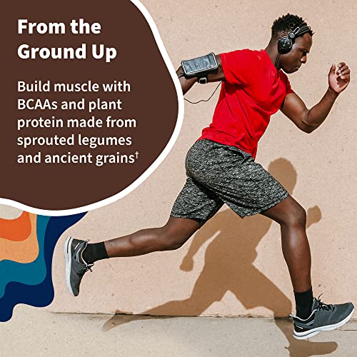 Garden of Life Vegan Protein Powder - 22g Raw Plant Protein, BCAAs, Probiotics Garden of Life buy supplements canada