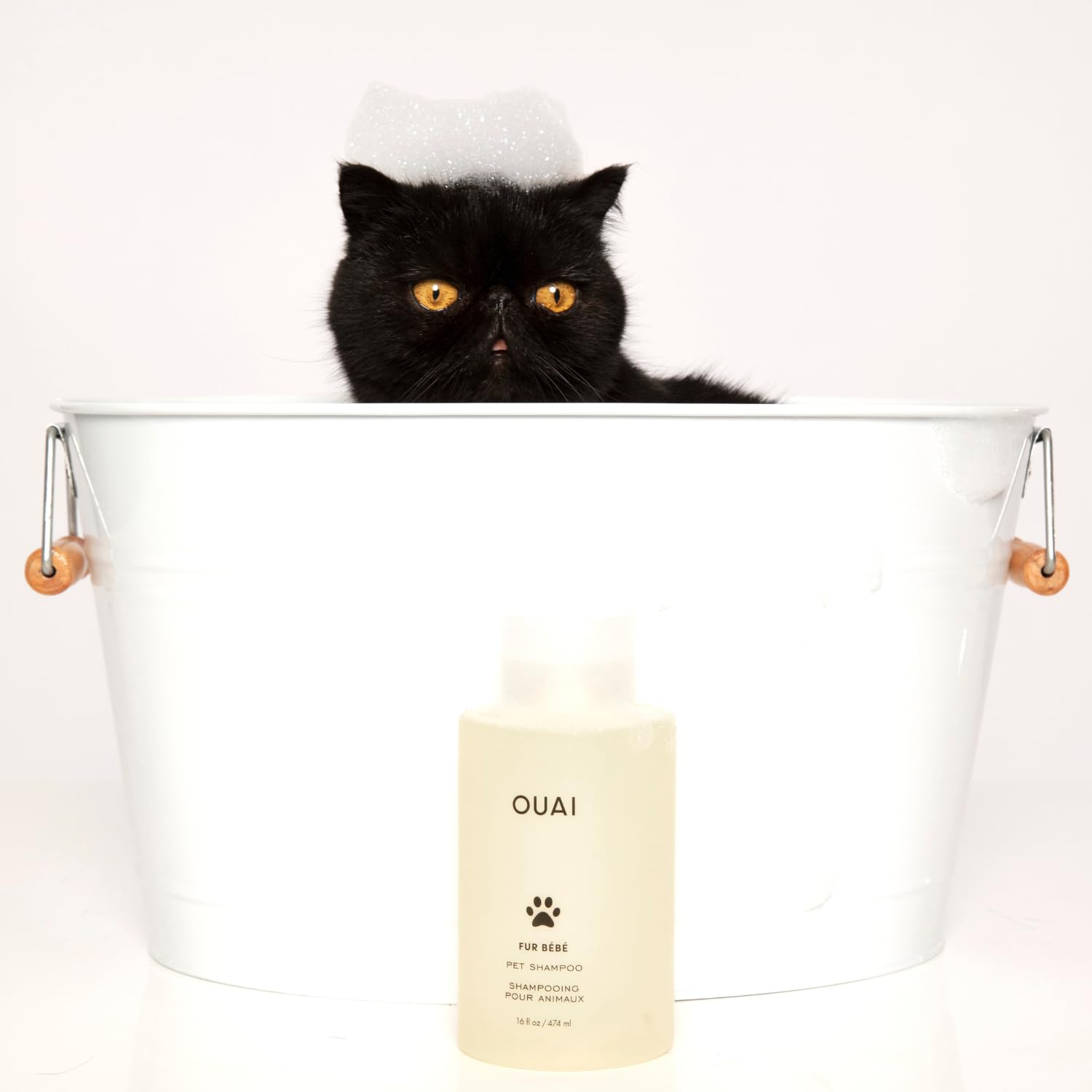 OUAI Fur Bébé Pet Shampoo, Mercer Street Scent - Dog Shampoo and Coat Wash for Hydrating, Cleansing and Adding Shine - Pet Supplies by OUAI (16 Fl Oz) OUAI buy supplements canada