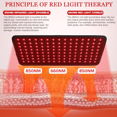 Yofalo 660nm LED Red Light and 850nm Near Infrared Red Light Therapy Belt Device for Body Pain Waist yofalo buy supplements canada