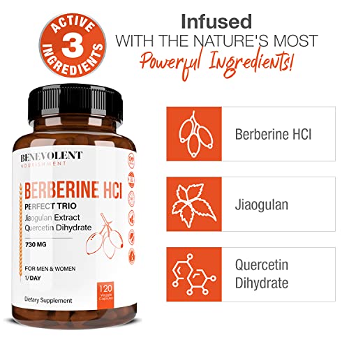 Premium Berberine HCL 730mg - 120 VCAPS Perfect Trio Complex with Non-GMO Jiaogulan Benevolent Nourishment buy supplements canada