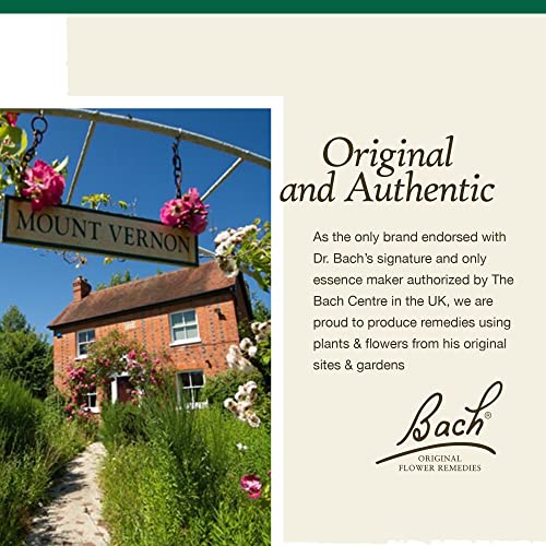 Bach Original Flower Remedies, Walnut for Adapting to Change (Non-Alcohol Formula) Bach buy supplements canada