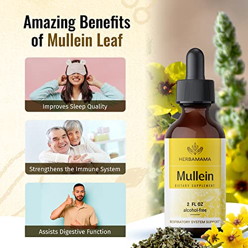 Mullein Leaf Tincture - Lung Cleanse - Vegan Lung Detox - Respiratory Health HERBAMAMA buy supplements canada