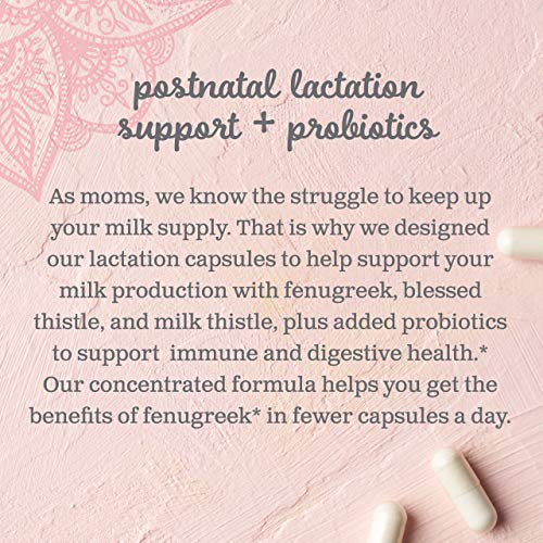 Mommy's Bliss Postnatal Lactation Support Supplement with Probiotics: Support Breastfeeding Mommy's Bliss buy supplements canada