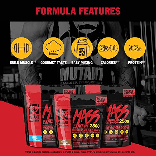 Mutant Mass Extreme Gainer Whey Protein Powder, Build Muscle Size & Strength with High Mutant buy supplements canada