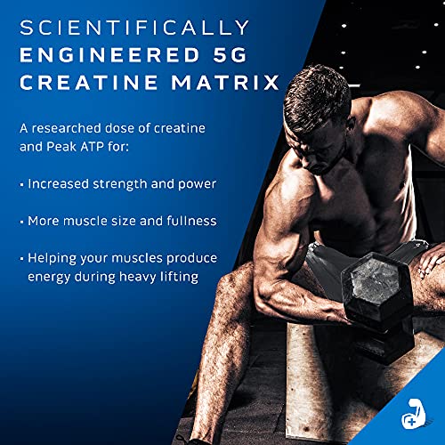 Creatine Powder | MuscleTech Cell-Tech Elite Creatine Powder | Post Workout Recovery MuscleTech buy supplements canada