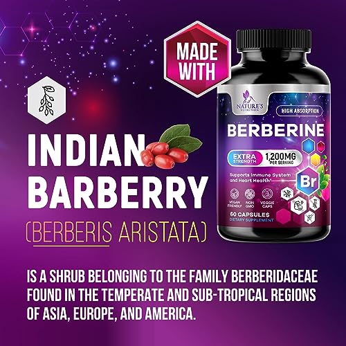 Berberine Supplement 1200mg per Serving - High Absorption Heart Health Support Nature's Nutrition buy supplements canada