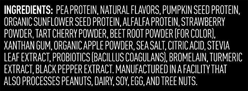 Vega Premium Sport Protein Berry Protein Powder, Vegan, Non GMO, Gluten Free Plant Vega buy supplements canada