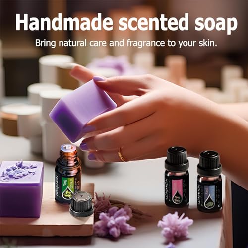 KMSCO Essential Oils Set -Top 16(0.33Fl Oz) Organic Plant Natural Fragrance Scents Blends Oil KMSCO buy supplements canada