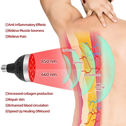 Red Light Therapy Lamp 24 LED Used for Red Light for Body and Face 660nm Red and 850nm Msupps.com buy supplements canada