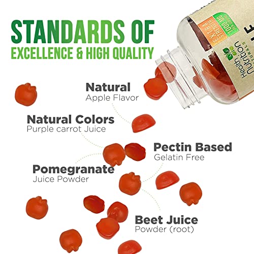 Vegan Apple Cider Vinegar Gummies | Max Strength 1000mg | ACV Supplement Gummy for Adults Health Nutrition Naturals buy supplements canada