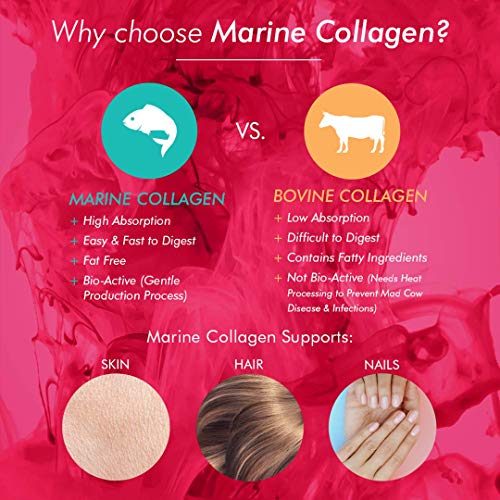 Bioglan Collagen Effervescent | 1000mg | Hydrolysed Marine Collagen Bioglan buy supplements canada