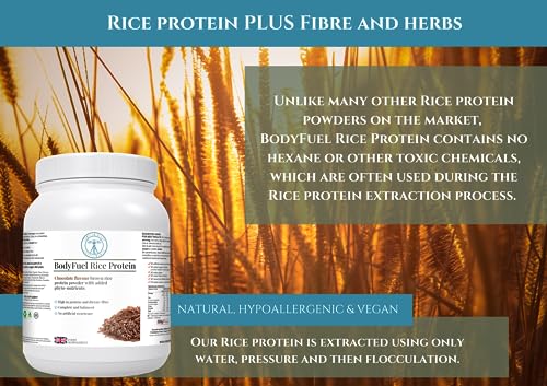 Complementary Supplements | BodyFuel Brown Rice Protein Powder Plus Chicory, Green Tea Complementary Supplements buy supplements canada