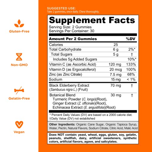 Goli Immune Vitamin Gummy - 60 Count - Elderberry, Vitamin C, D & Zinc, Vegan, Non-GMO Goli buy supplements canada