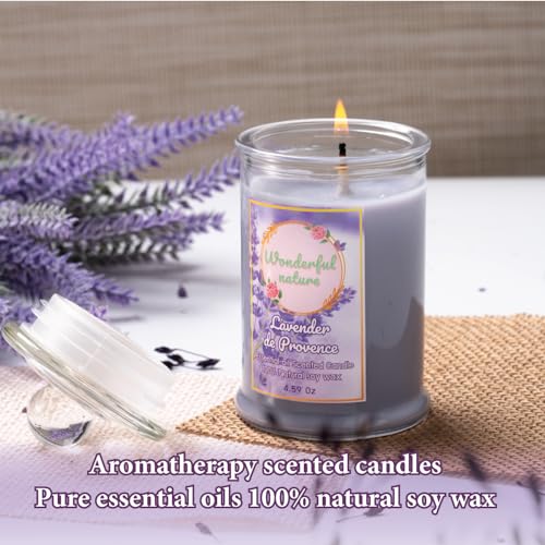 Wonderfulnature Lavender de Provence Pure Essential Oil Scented Candle, Aromatherapy WONDERFUL NATURE buy supplements canada