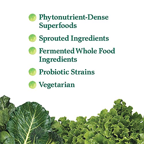 Garden of Life Perfect Food Super Green Formula - 14 Servings | 45 Superfoods, Greens Garden of Life buy supplements canada