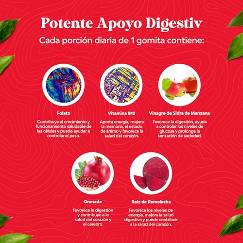 Gomitas ACV de Vinagre de Sidra de Manzana – Suplemento de Energético Natural con la Natures Craft buy supplements canada