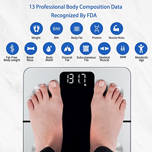 Vitafit Smart Scales for Body Weight and Fat Percentage, Weighing Professional Since 2001 Vitafit buy supplements canada