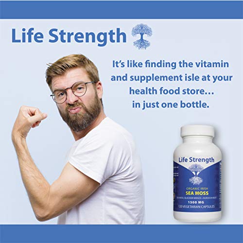Life Strength Organic Sea Moss 120 CT Wildcrafted Irish Sea Moss and Bladderwrack Burdock Life Strength buy supplements canada
