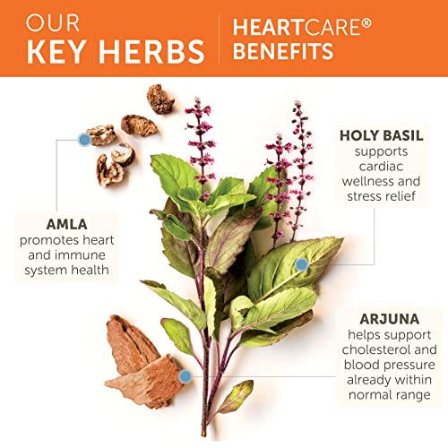 Himalaya HeartCare, Cholesterol and Blood Pressure Supplements for Cardiovascular Himalaya buy supplements canada