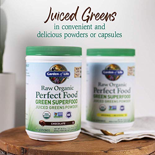 Garden of Life Raw Organic Perfect Food Green Superfood Juiced Greens Powder - Chocolate, 60 Servings, Non-GMO, Gluten Free, Vegan Whole Food Dietary Supplement Plus Probiotics, Enzymes Garden of Life buy supplements canada