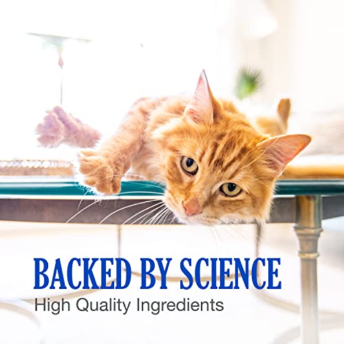 Nutramax Cobalequin B12 Supplement for Cats and Small Dogs, 45 Count (Pack of 1) Nutramax Laboratories buy supplements canada