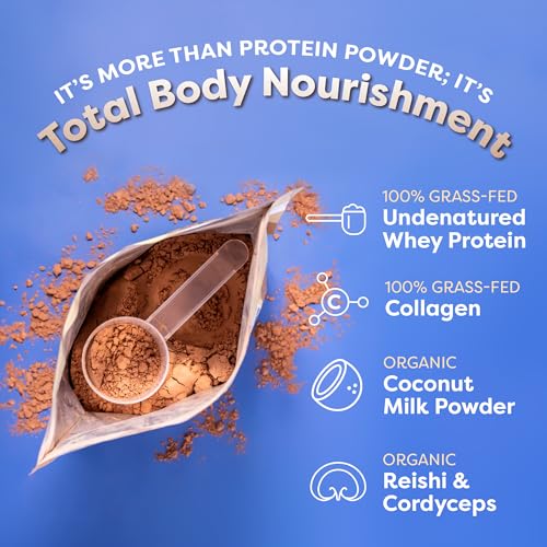 FlavCity Protein Powder Smoothie, Chocolate - 100% Grass-Fed Whey Protein Smoothie FlavCity buy supplements canada
