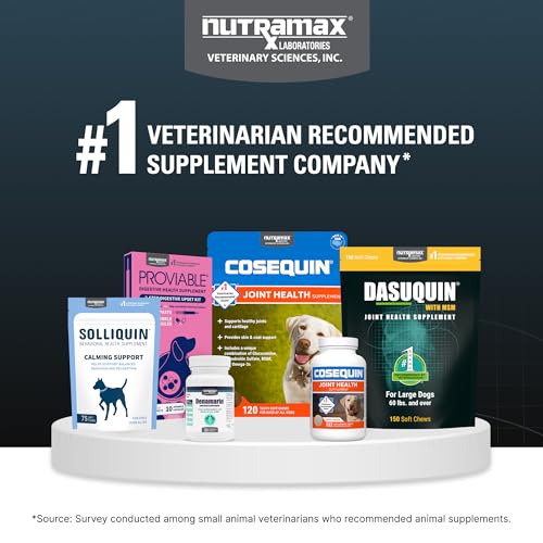 Nutramax Dasuquin for Large Dogs, Joint Health Supplement, Contains Glucosamine for Dogs, Plus Chondroitin, ASU, MSM and More, Supports Healthy Joints, Soft Chews, 150 Count Nutramax Laboratories buy supplements canada