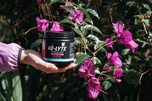 REDMOND Re-Lyte Hydration Electrolyte Mix (Mixed Berry) REDMOND buy supplements canada