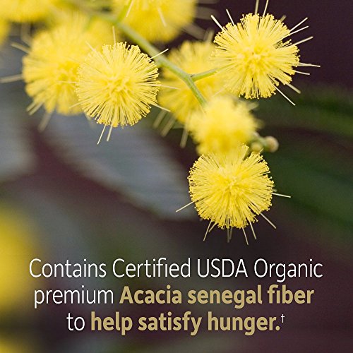 Garden of Life Dr Formulated Organic Fiber Supplement Powder Unflavored, Sugar Free Garden of Life buy supplements canada
