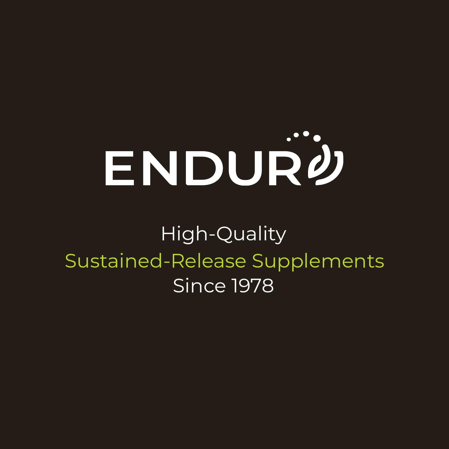 ENDUR-VM - Multivitamin Vitamin A, C, D, E, B12 & Zinc (Without Iron) SR (Sustained Release) 22 Essential Nutrients to Support Overall Wellness for Men & Postmenopausal Women - 150 Tablets Endurance Products buy supplements canada