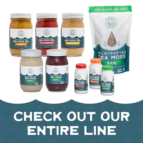 Herbal Vineyards Natural Organic Wildcrafted Gold Raw Sea Moss Gel for Immune Support Herbal Vineyards buy supplements canada